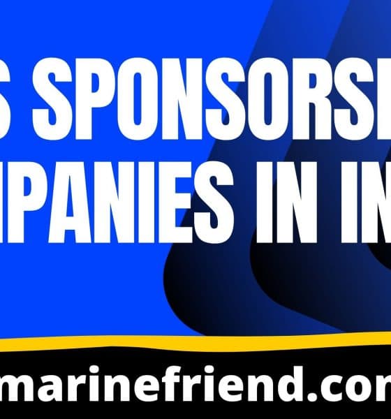 dns sponsorship companies in india