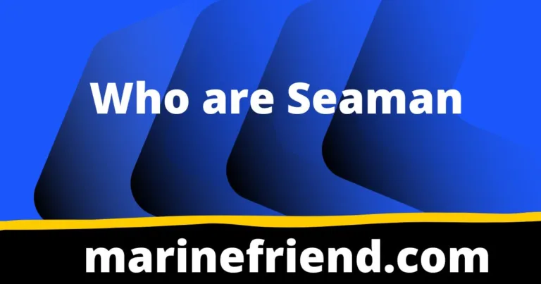 Who are Seaman 2024 1 Seaman