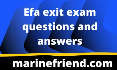 Efa exit exam questions and answers